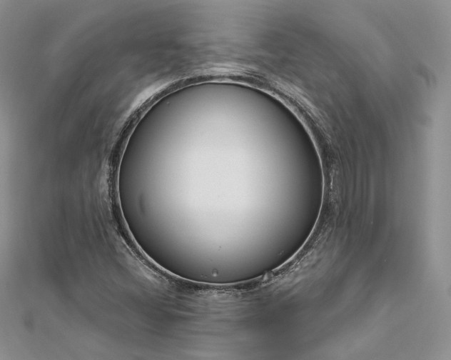 X0000112891404200909041652