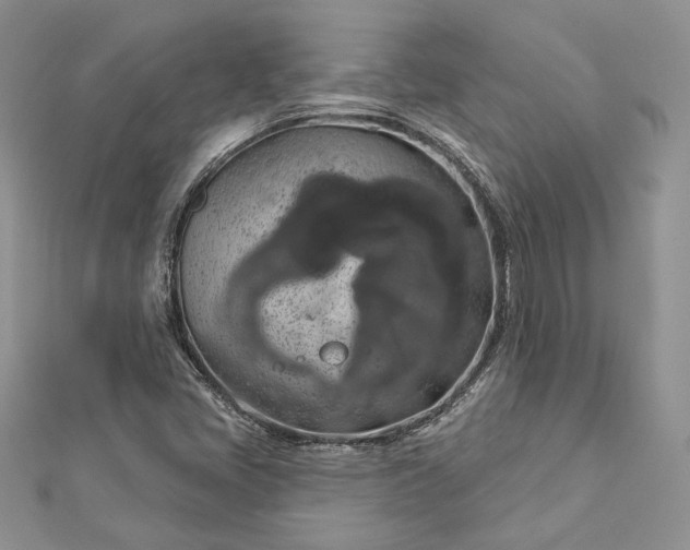 X0000112891405200909041652