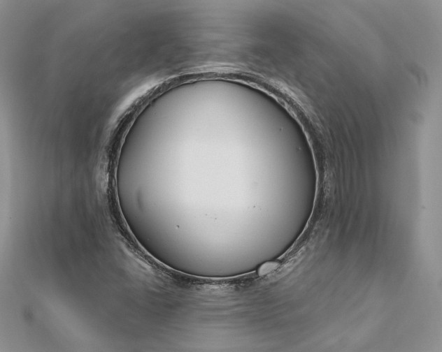 X0000112891406200909041652