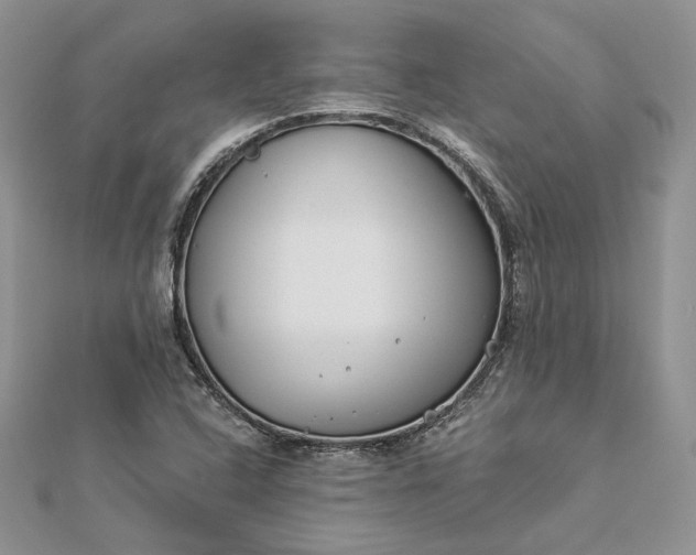 X0000112891408200909041652