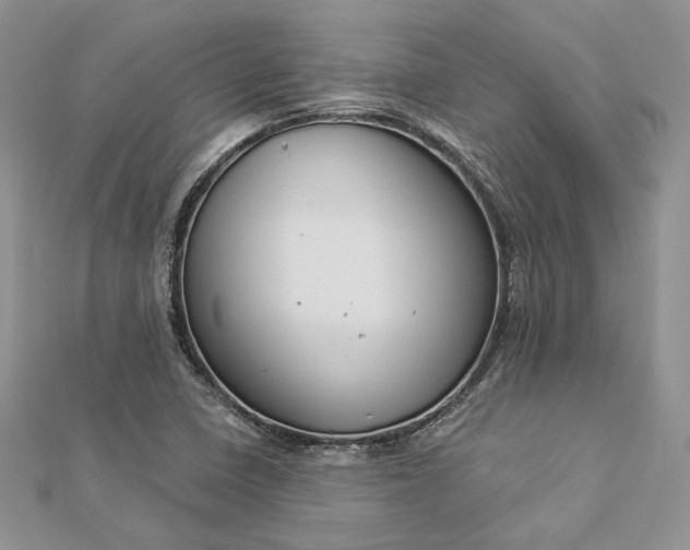 X0000112891410200909041652