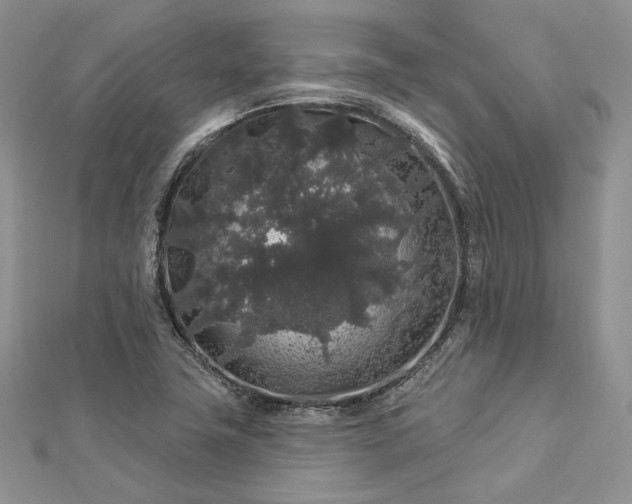 X0000112891411200909041652