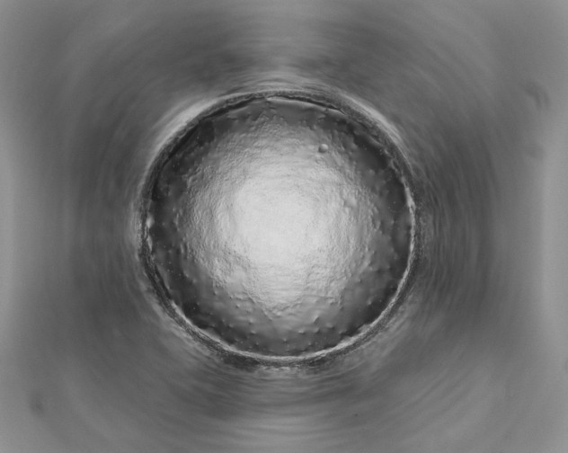 X0000112891415200909041652