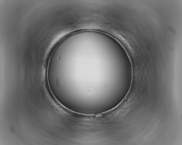 X0000112891416200909041652