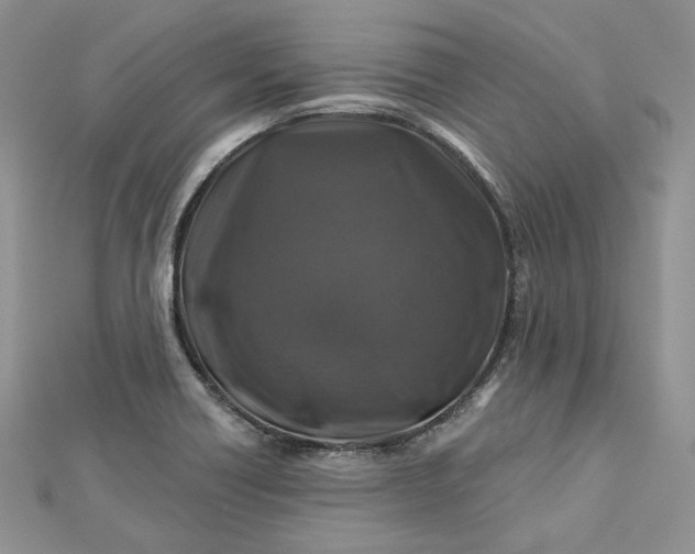 X0000112891418200909041652