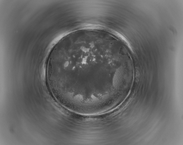 X0000112891419200909041652