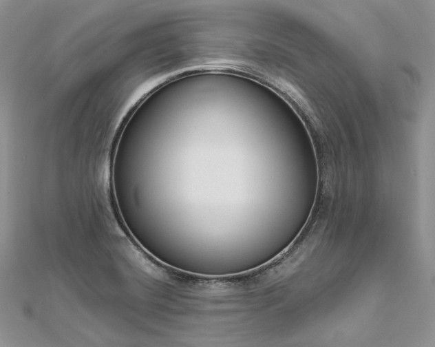 X0000112891420200909041652