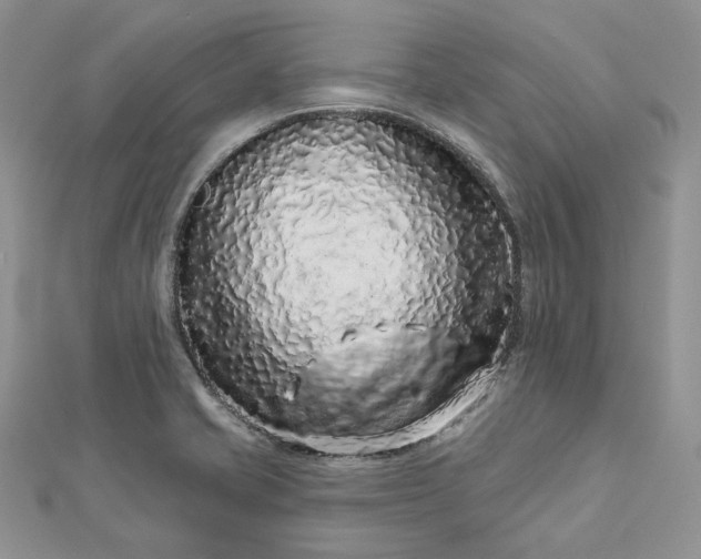 X0000112891421200909041652