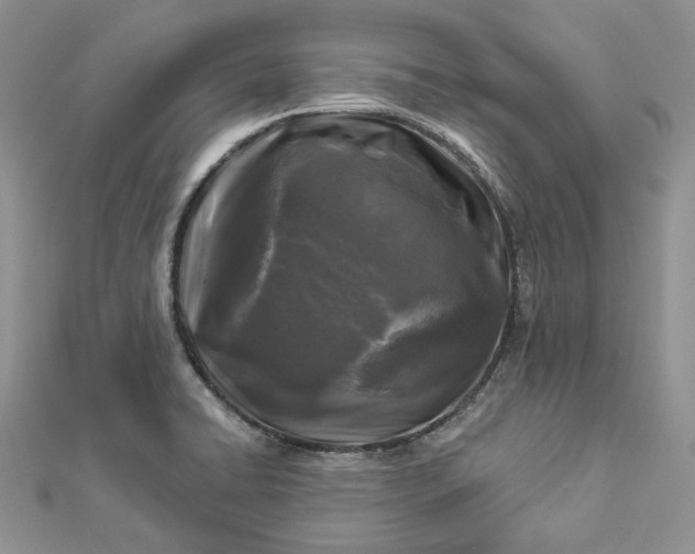 X0000112891422200909041652