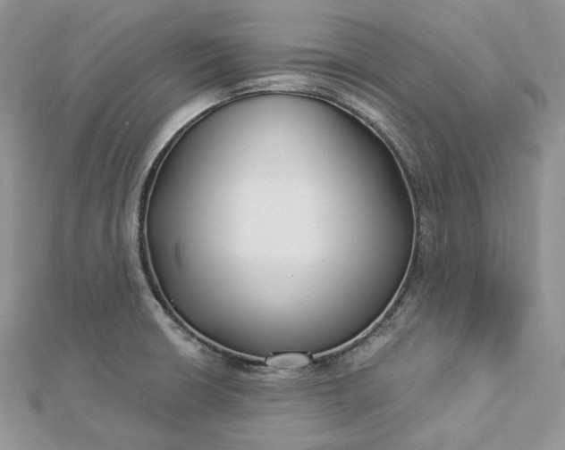 X0000112891426200909041652