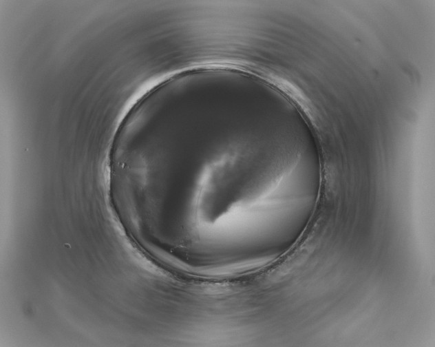 X0000112891428200909041652