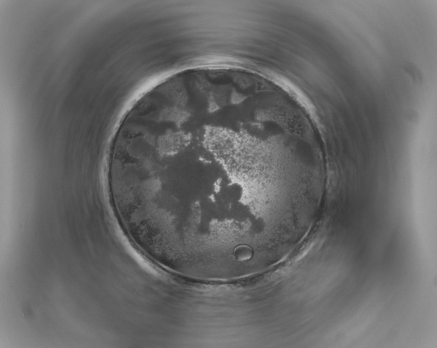 X0000112891429200909041652