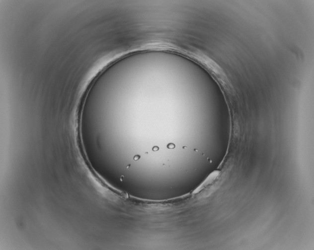 X0000112891430200909041652