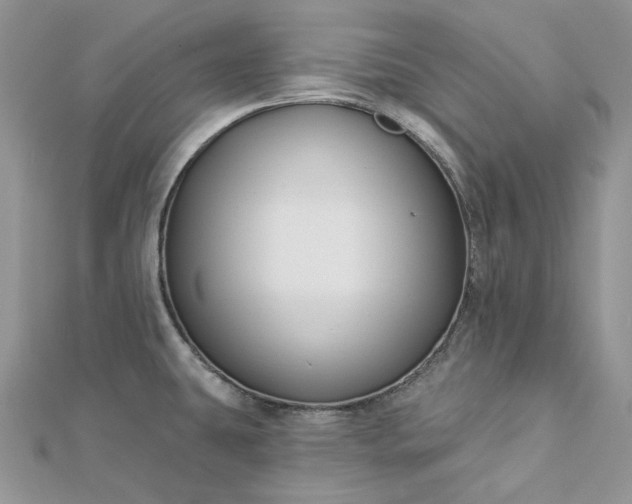 X0000112891431200909041652