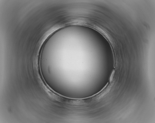 X0000112891434200909041652