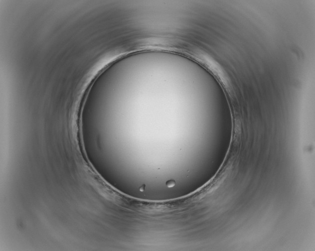 X0000112891435200909041652