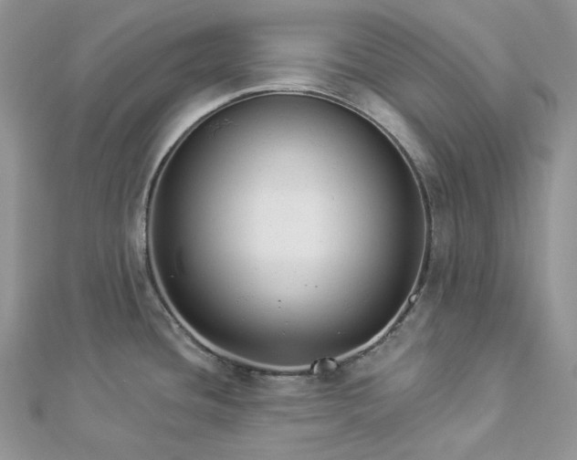 X0000112891436200909041652