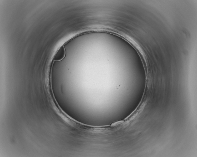 X0000112891437200909041652