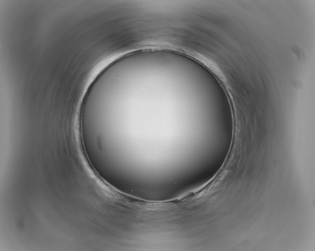 X0000112891440200909041652