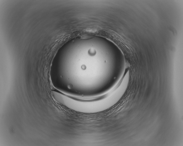 X0000112891441200909041652