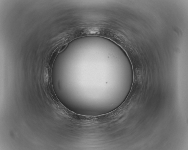 X0000112891442200909041652