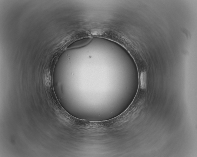 X0000112891443200909041652