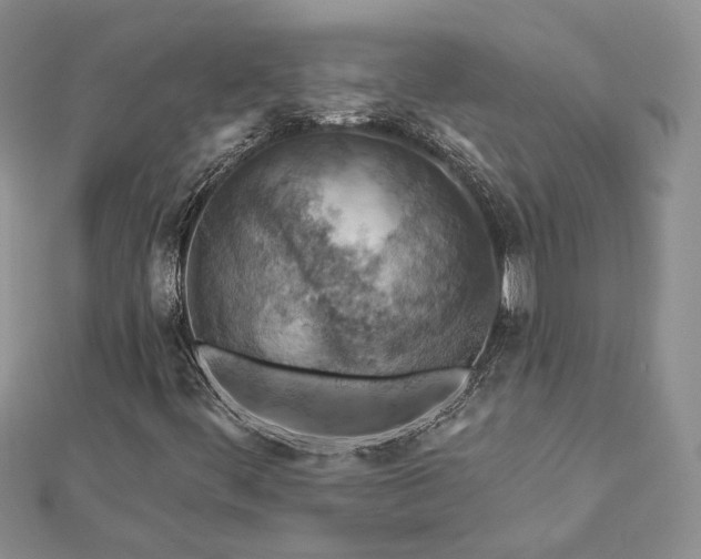 X0000112891444200909041652