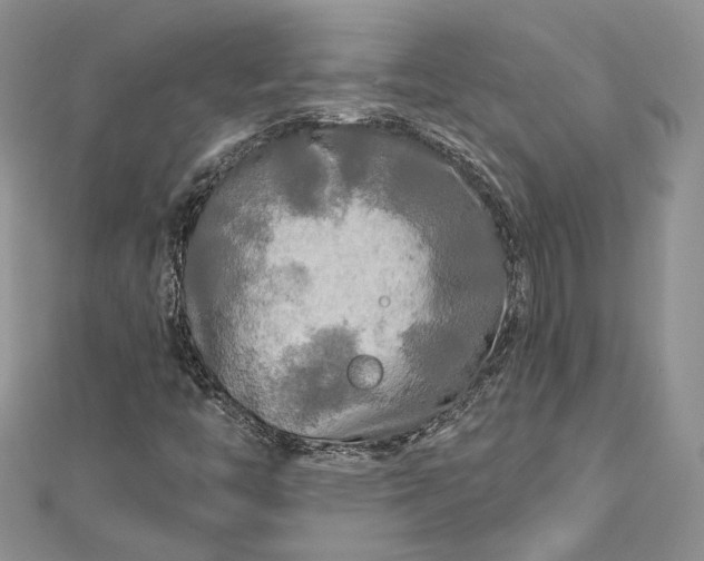 X0000112891446200909041652
