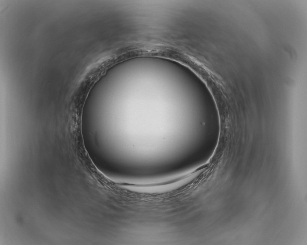 X0000112891447200909041652