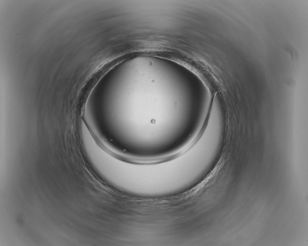 X0000112891449200909041652