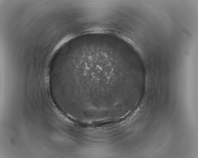 X0000112891450200909041652