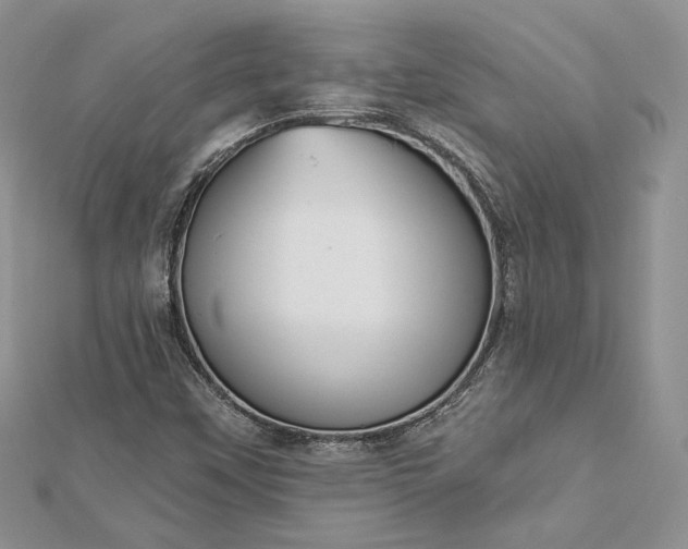 X0000112891451200909041652