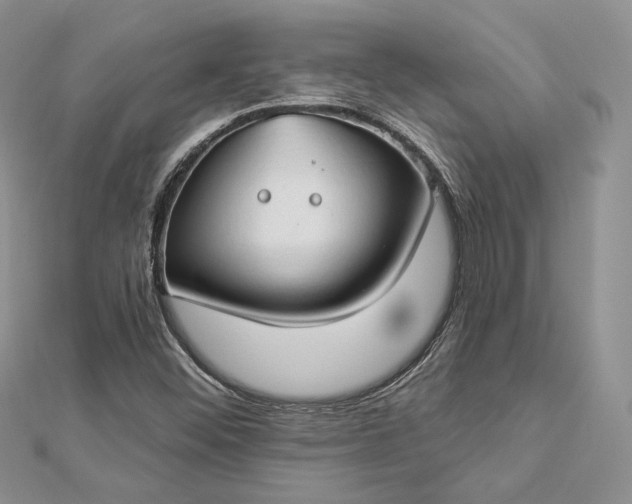 X0000112891452200909041652
