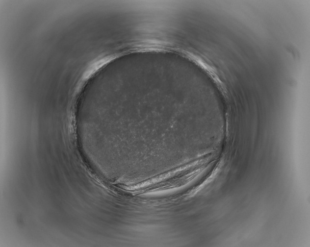X0000112891453200909041652