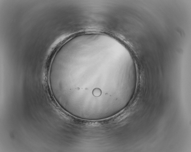 X0000112891454200909041652
