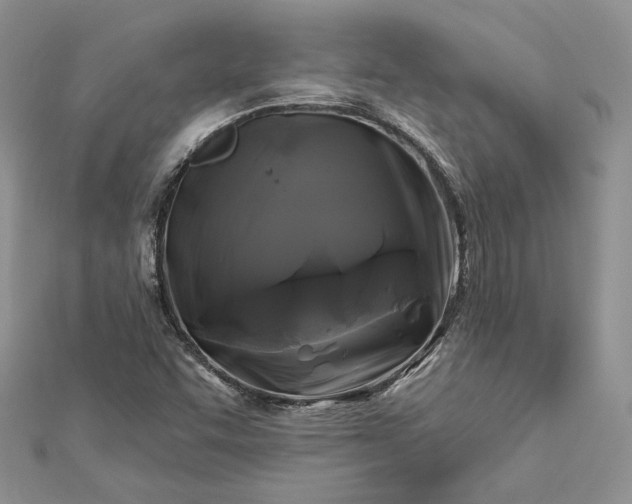 X0000112891455200909041652