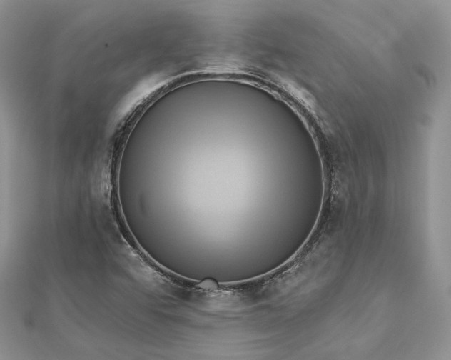X0000112891456200909041652