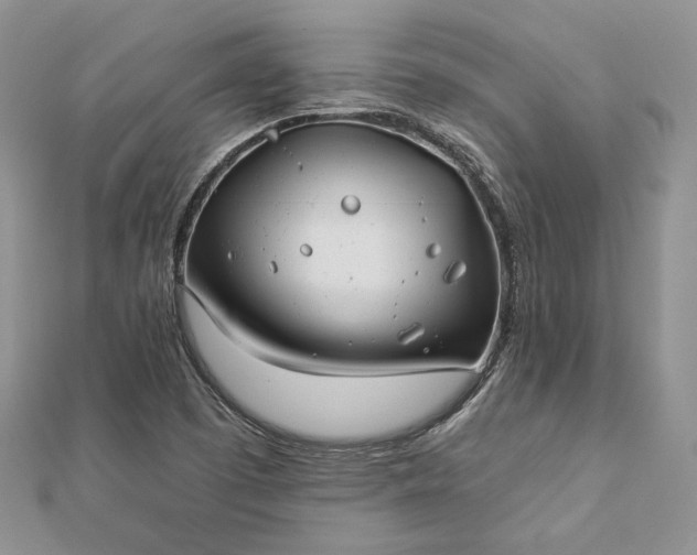X0000112891457200909041652