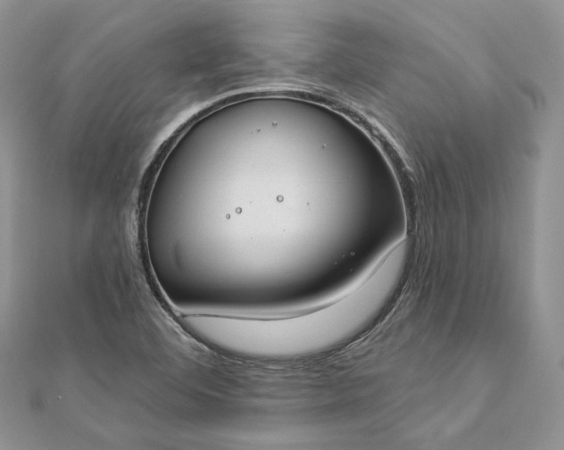X0000112891460200909041652