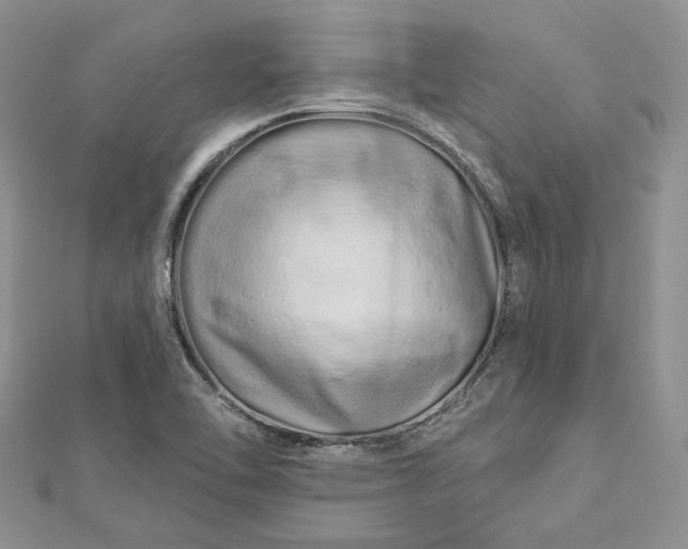 X0000112891462200909041651