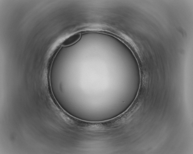 X0000112891464200909041651