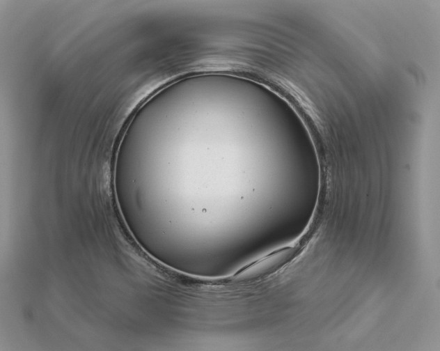 X0000112891465200909041651