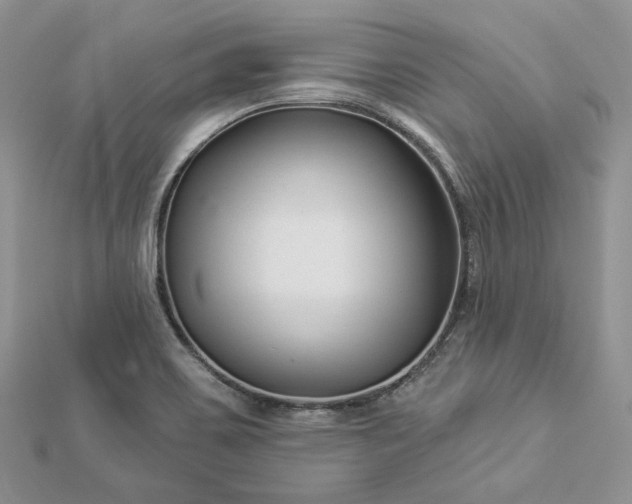 X0000112891467200909041651
