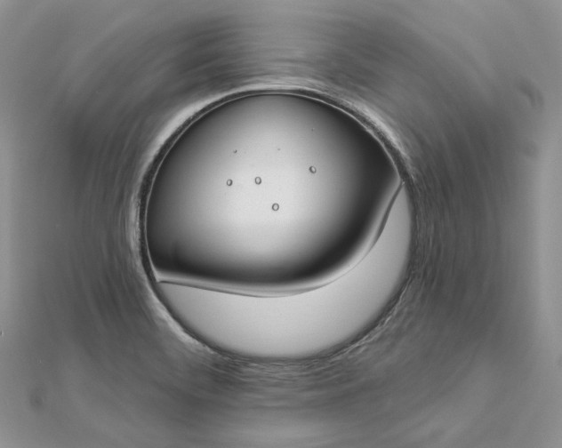 X0000112891468200909041651