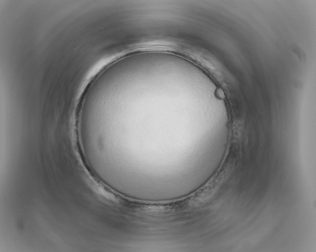 X0000112891470200909041651