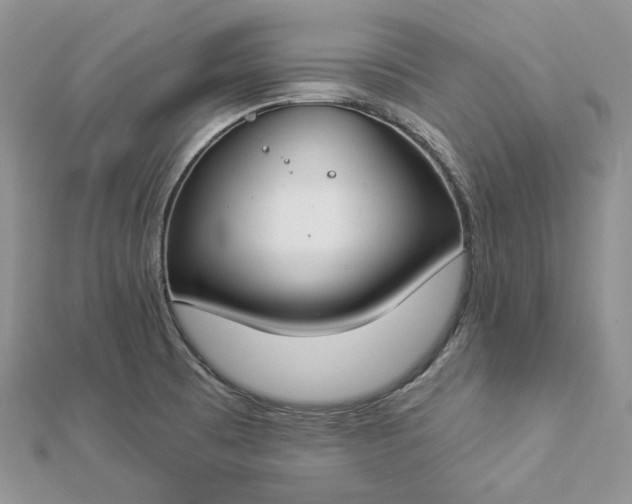 X0000112891473200909041651