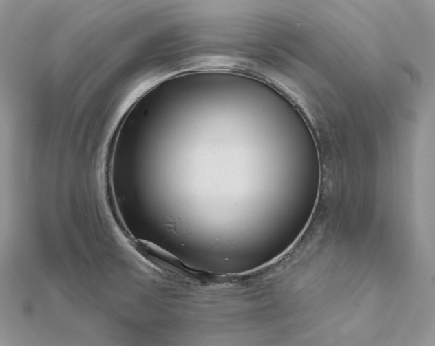 X0000112891475200909041651