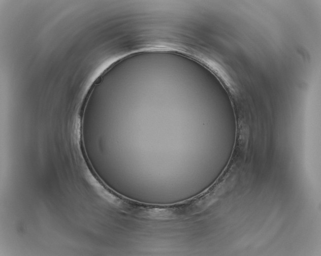 X0000112891476200909041651