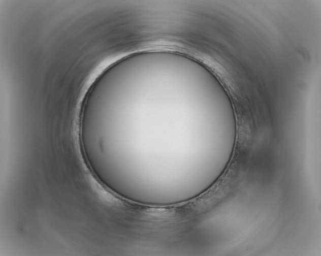 X0000112891478200909041651