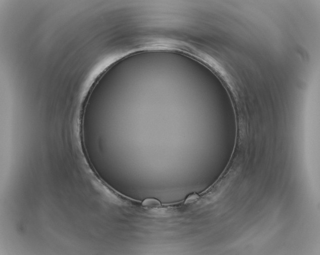 X0000112891480200909041651